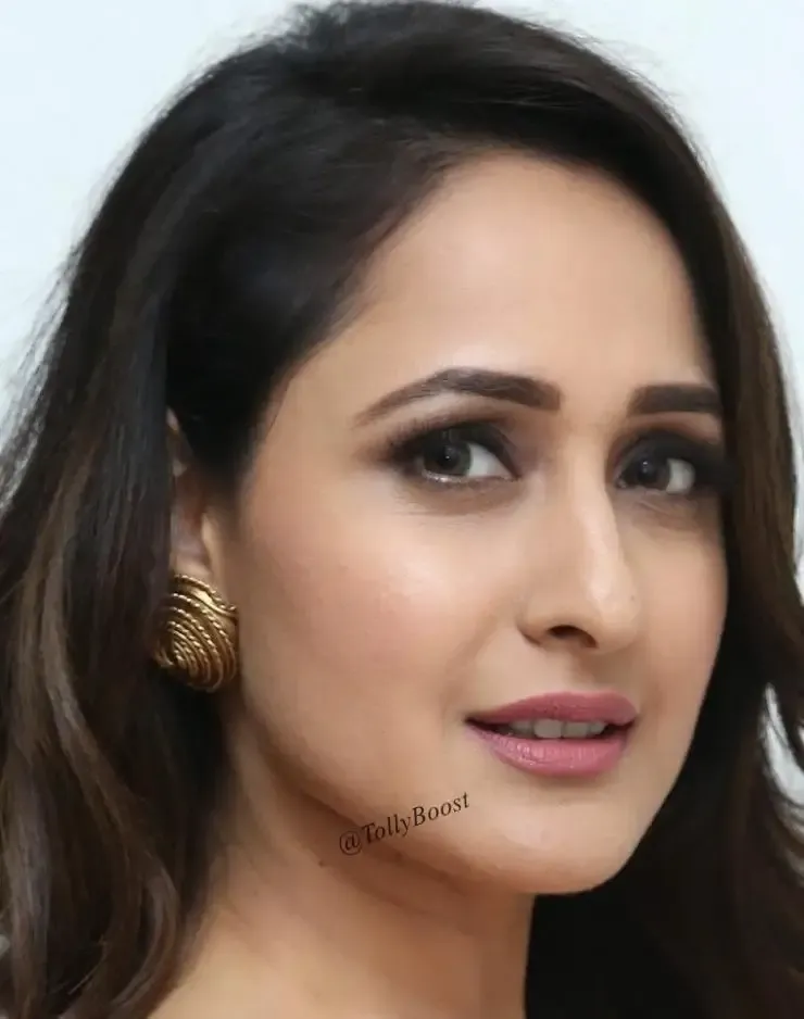 Actress Pragya Jaiswal Without Makeup Real Face Closeup